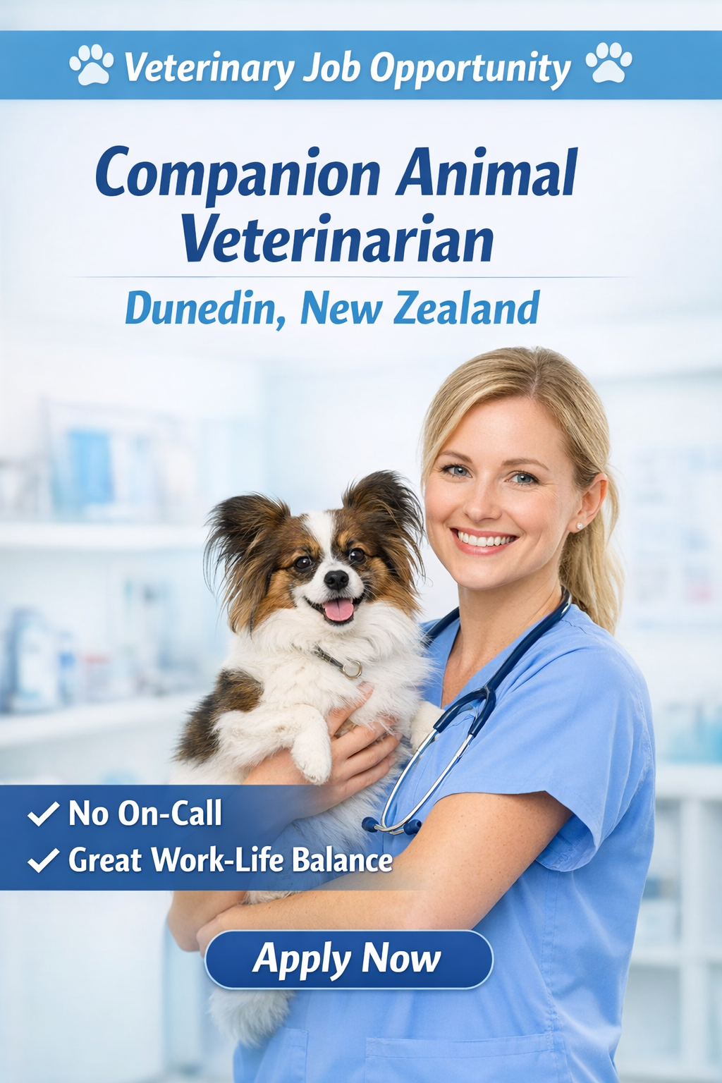 Companion Animal Veterinarian Job – Dunedin NZ